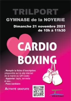 affiche cardio boxing